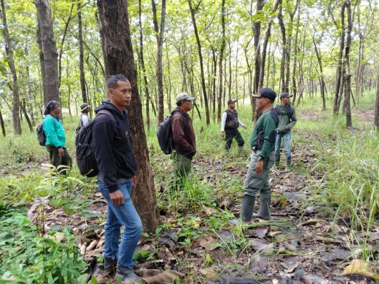 963cccdb-34af-4ef1-958b-5abdf132ed74