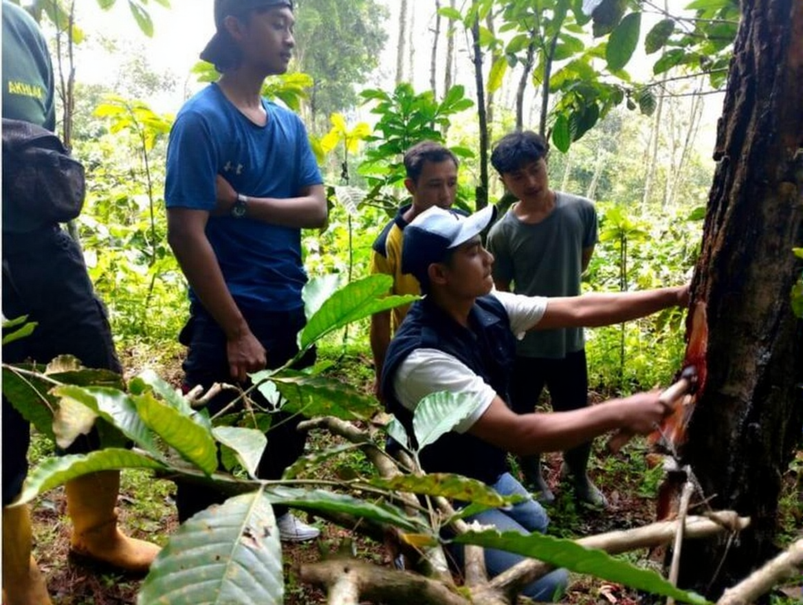 f3cxfmyhtdrmt0cvd1gtstd9j8-1