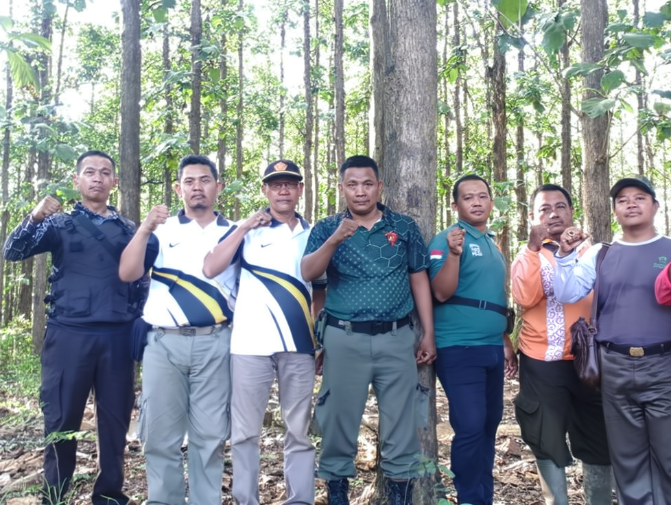 phototune.ai_1777385963